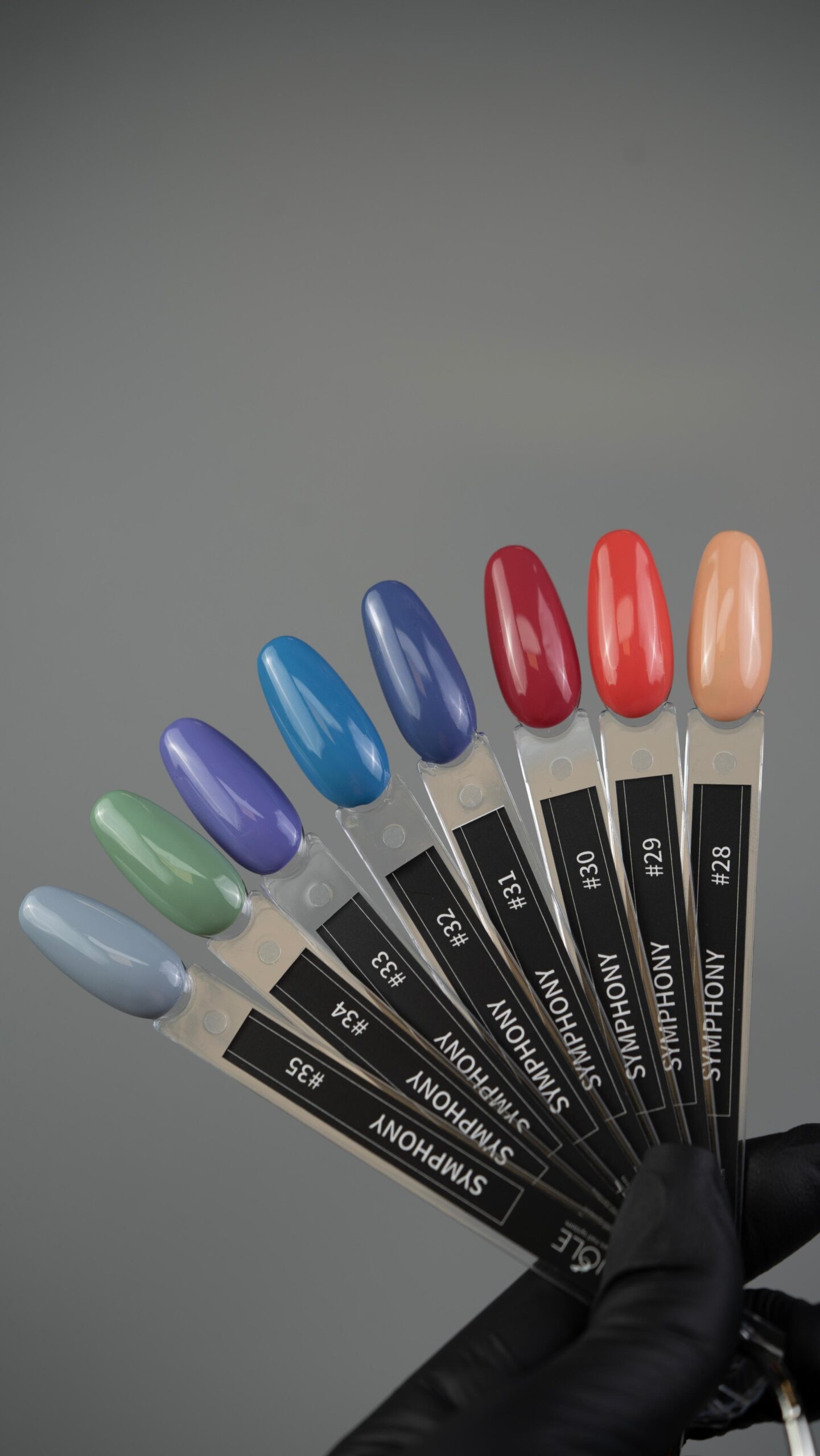 Photo 2025 02 12 17 07 20