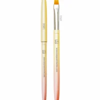 Ds01 brush website.jpg