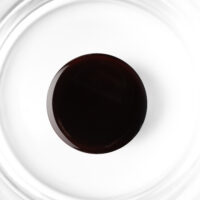 Biap burgundy