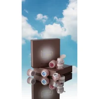 IMG 4025 eda918bc 38cd 4c8a a632 d66999b682b2.jpg