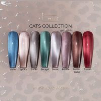 Cats collection gel polish siam sphinx tabbij bengal devon persian maine coon somali