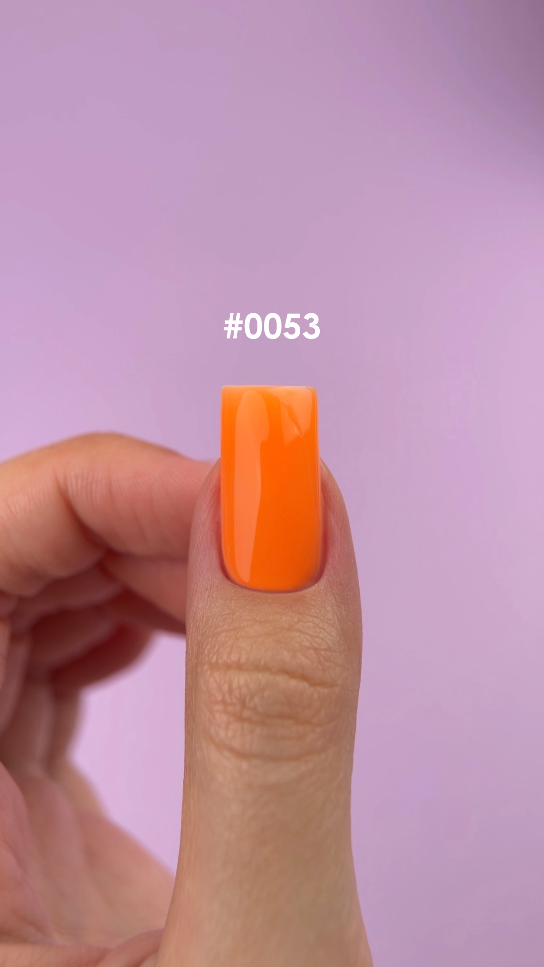 0053