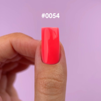 0054