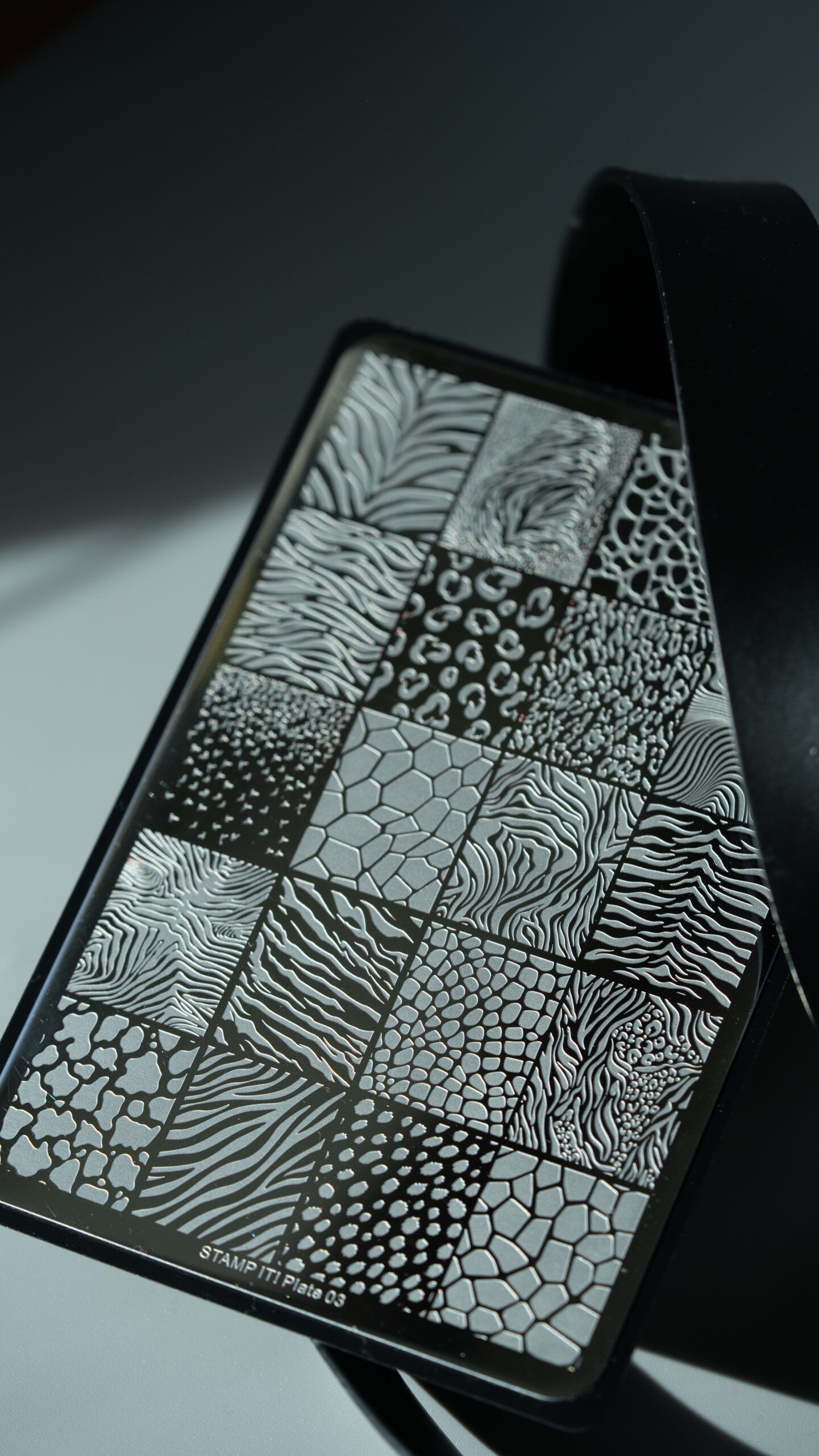 Plate03.wildcore scaled